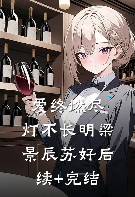 爱终燃尽，灯不长明梁景辰苏好后续+完结
