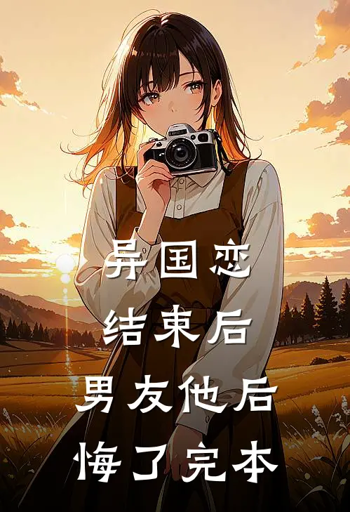 异国恋结束后,男友他后悔了完本的