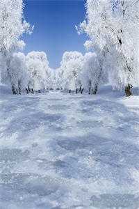 穿成恶毒寡嫂，被腹黑小叔盯上了全文+番外