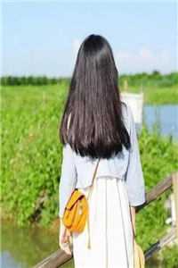 朝霞不渡晚来风章节