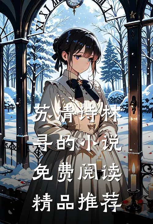 苏清诗林寻的小说免费阅读精品推荐