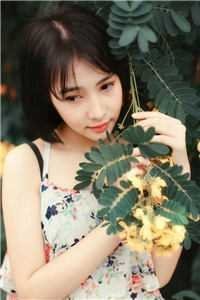 秋去晚伤时完结txt