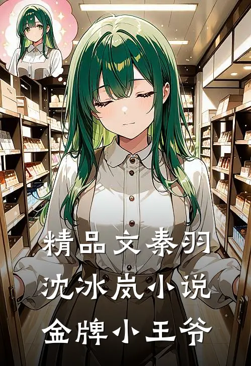 精品文秦羽沈冰岚小说金牌小王爷