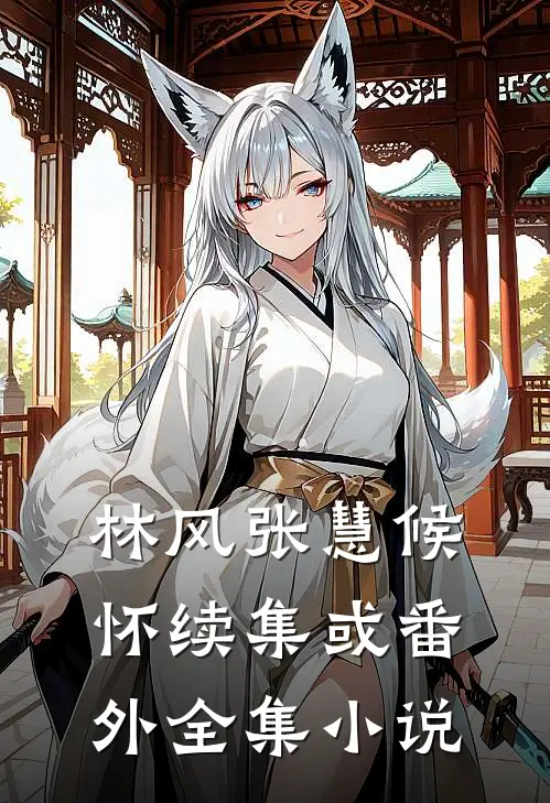 林风张慧候怀续集或番外全集小说