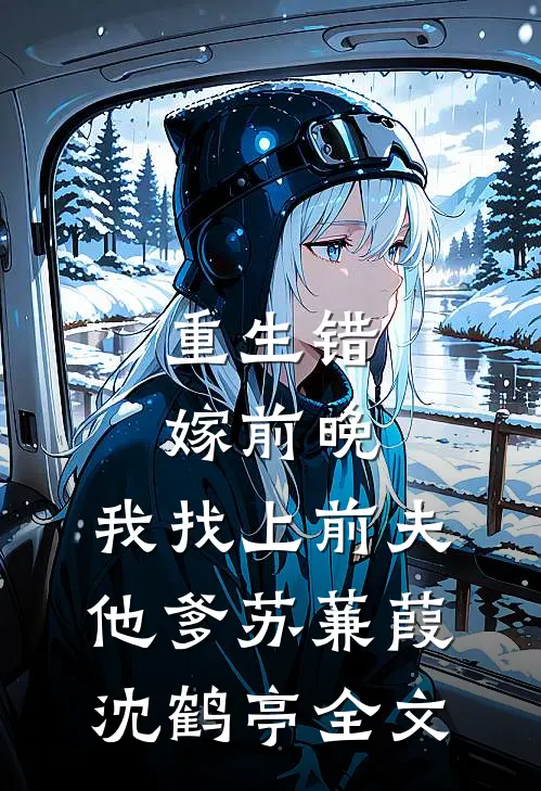 重生错嫁前晚，我找上前夫他爹苏蒹葭沈鹤亭全文