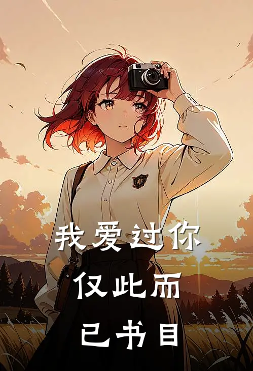 我爱过你,仅此而已书目