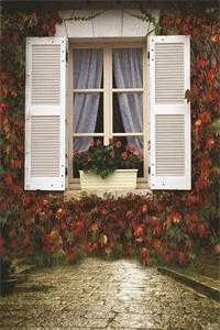 丁克六年后，我离婚了爆火全网