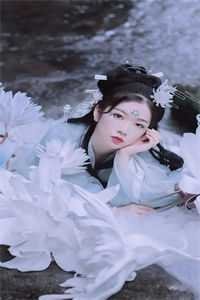 秦机长，太太是真的想离婚了黎软秦不舟后续+全文