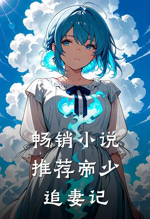 畅销小说推荐帝少追妻记
