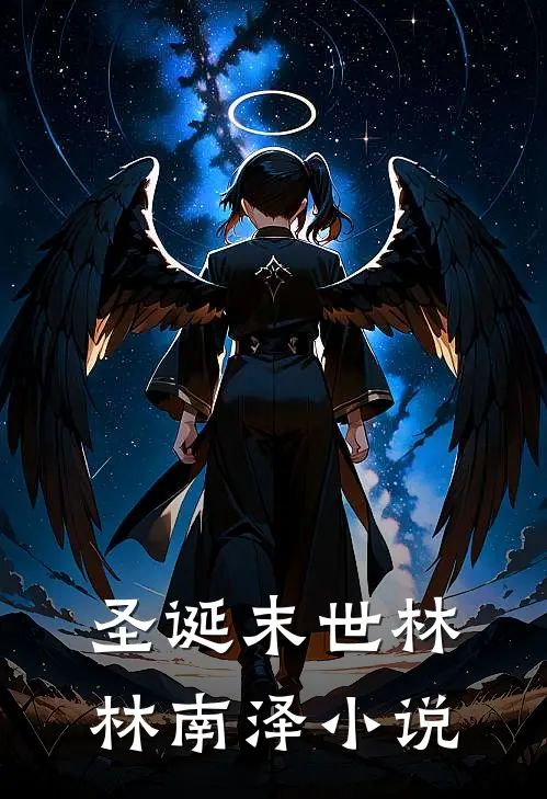 圣诞末世林林南泽小说