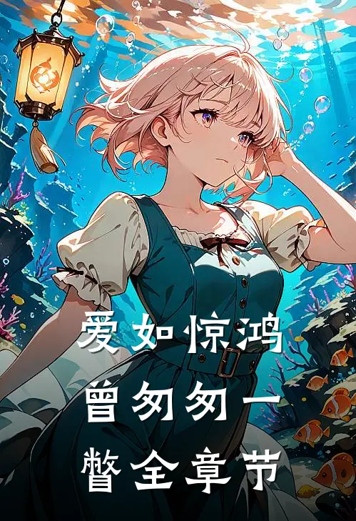 爱如惊鸿,曾匆匆一瞥全章节概括