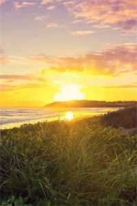 青梅有悲秋症，我把丈夫葬在冬天精品篇