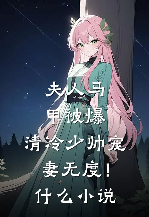 夫人马甲被爆，清冷少帅宠妻无度！什么小说