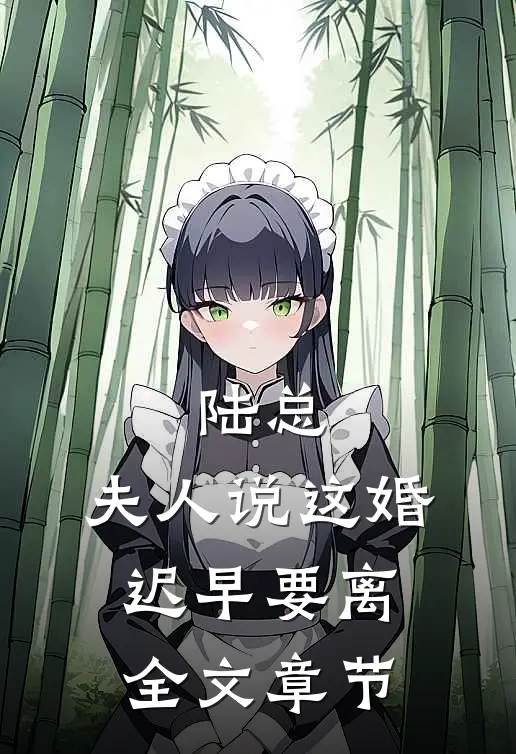 陆总,夫人说这婚迟早要离全文章节免费阅读