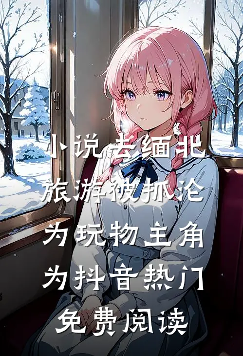 小说去缅北旅游被抓沦为玩物主角为抖音热门免费阅读