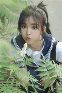 就让往事，消散于风完本