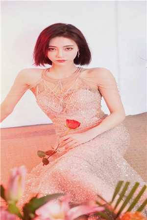 她送去风月一盏全章阅读