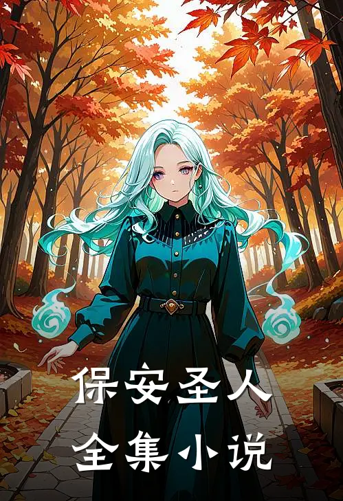 保安圣人全集