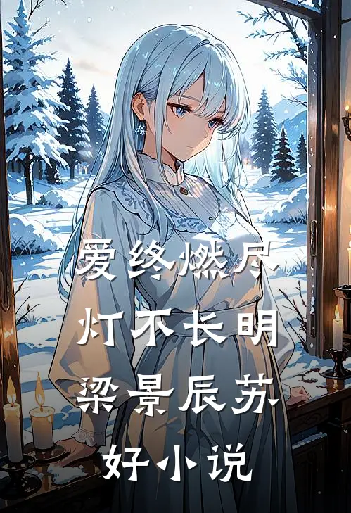 爱终燃尽，灯不长明梁景辰苏好小说
