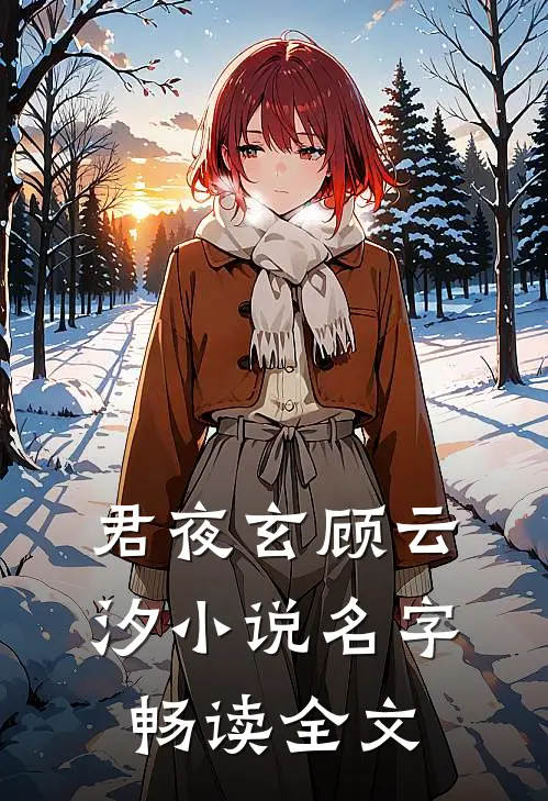 君夜玄顾云汐小说名字畅读全文