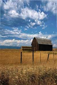 大佬囚她于身侧，小娇妻又要闹了！的小说