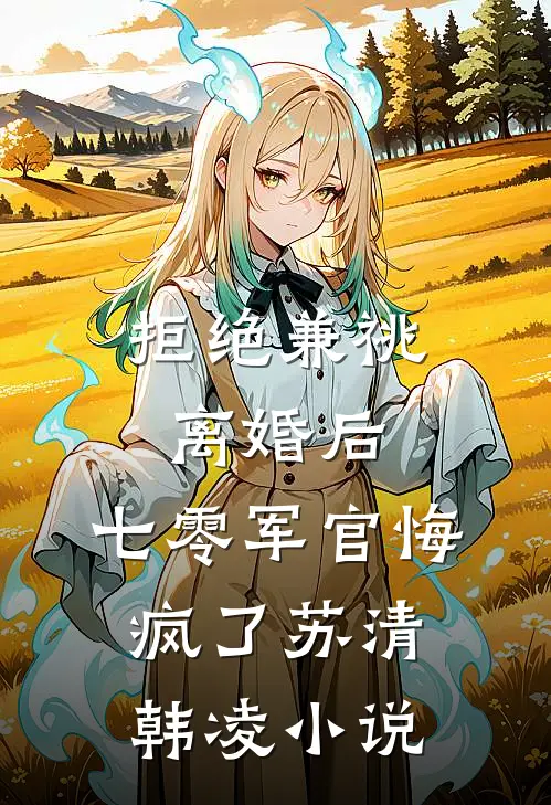 拒绝兼祧离婚后，七零军官悔疯了苏清韩凌小说