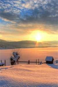 空间囤货：千金在边疆躺赢了完结+番外