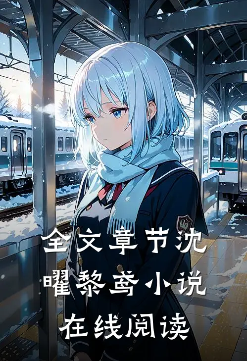 全文章节沈曜黎鸢小说在线阅读