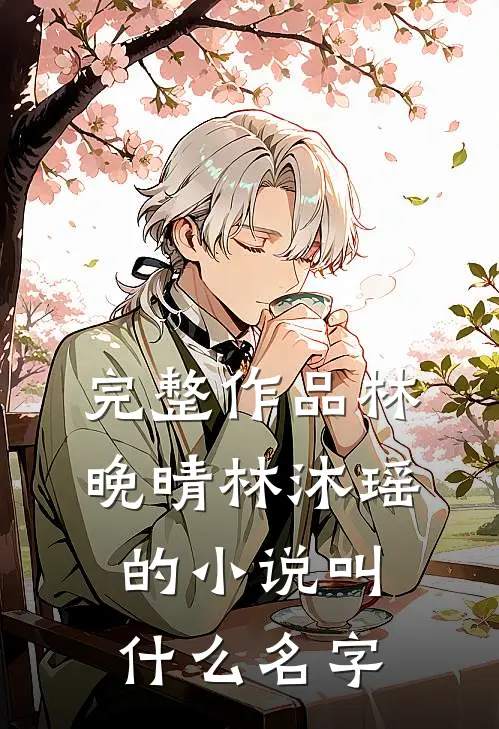 完整作品林晚晴林沐瑶的小说叫什么名字