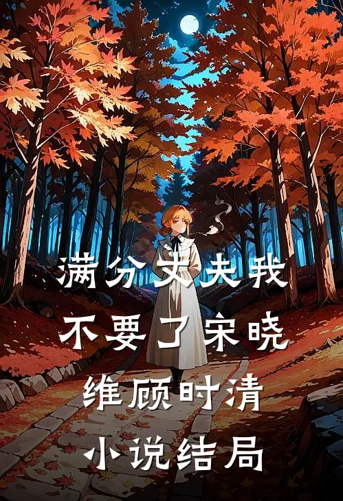 满分丈夫我不要了宋晓维顾时清小说结局