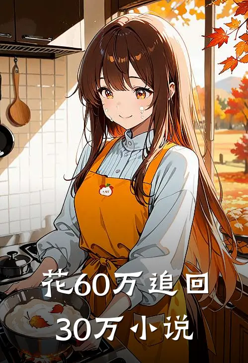 花60万追回30万阅读