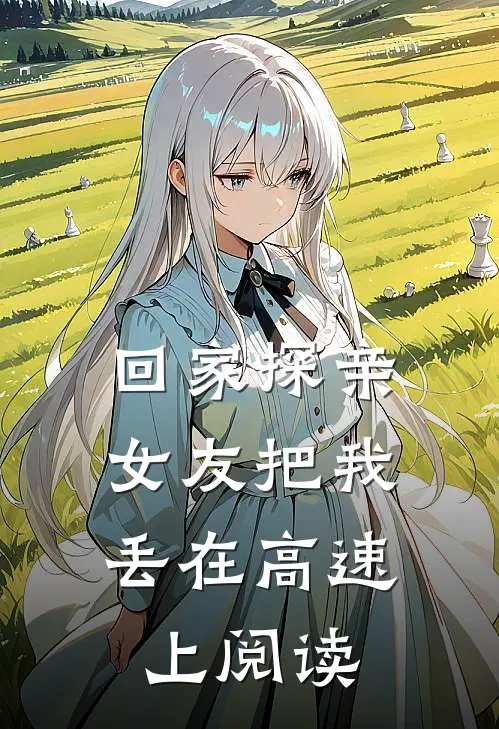 回家探亲,女友把我丢在高速上阅读