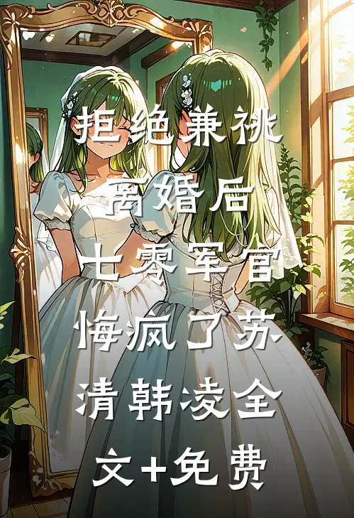 拒绝兼祧离婚后，七零军官悔疯了苏清韩凌全文+免费