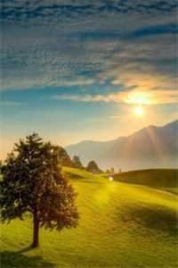 买蚝油忘找两毛钱，儿子儿媳网曝我贪污全球完整文集