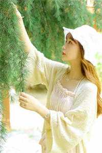 飞雁渡春秋几重最后结局