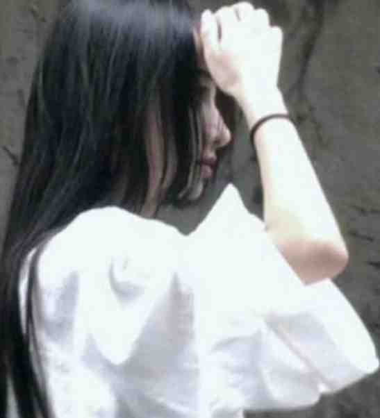 第七年春雨迟无弹窗