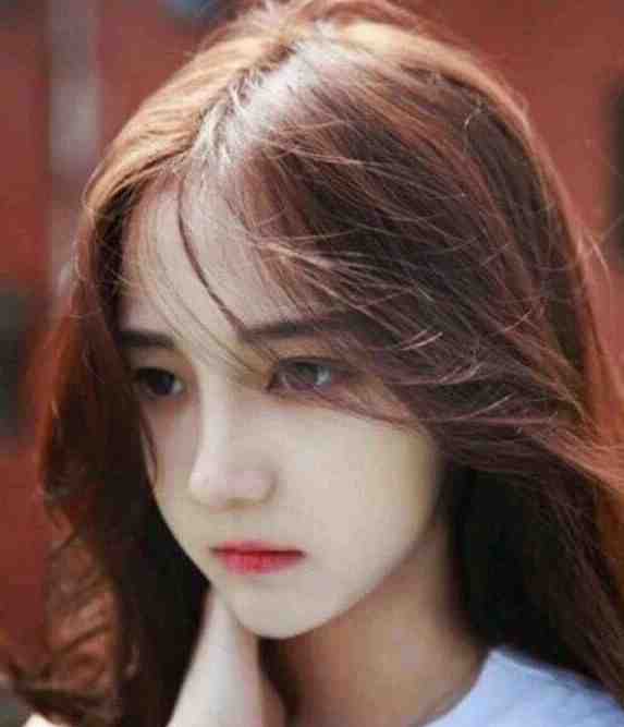 旧梦难寻梧桐雨小说全文免费阅读