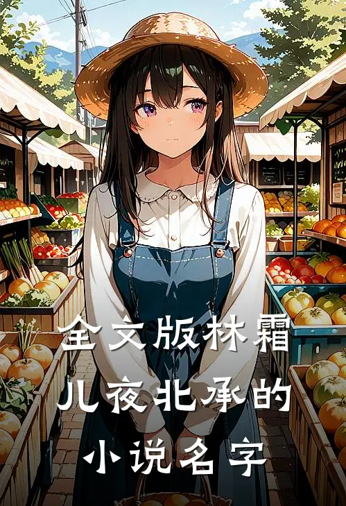 全文版林霜儿夜北承的小说名字