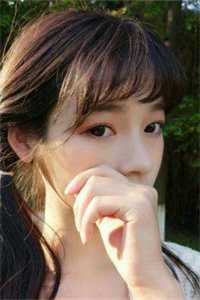 旧风未散的夏天推荐