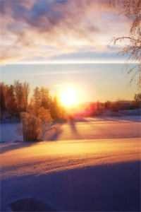 四个师兄不靠谱，师妹行走靠自己苏简玥欧阳旭番外