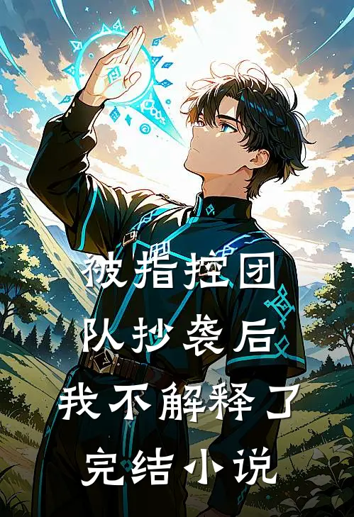 被指控团队抄袭后,我不解释了完结在线阅读