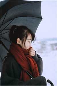 向晚烬亦明免费看