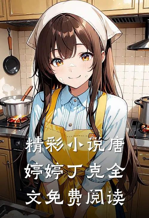 精彩唐婷婷丁克全文免费阅读无弹窗