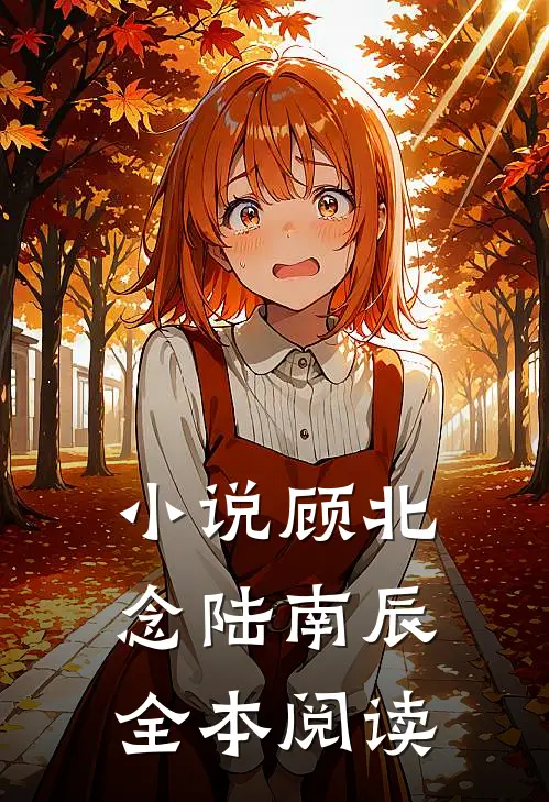 小说顾北念陆南辰全本阅读