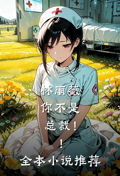 林雨薇,你不是总裁!!全本推荐一下