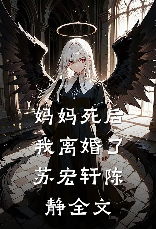妈妈死后,我离婚了苏宏轩陈静全文