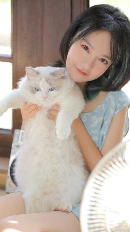 劳斯莱斯被砸后，我杀疯了畅读