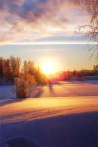 重生后借势翻盘，大小姐太飒了精选