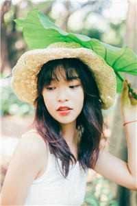 再见，格桑花海推荐