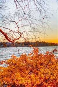 秋去晚伤时高质量好文